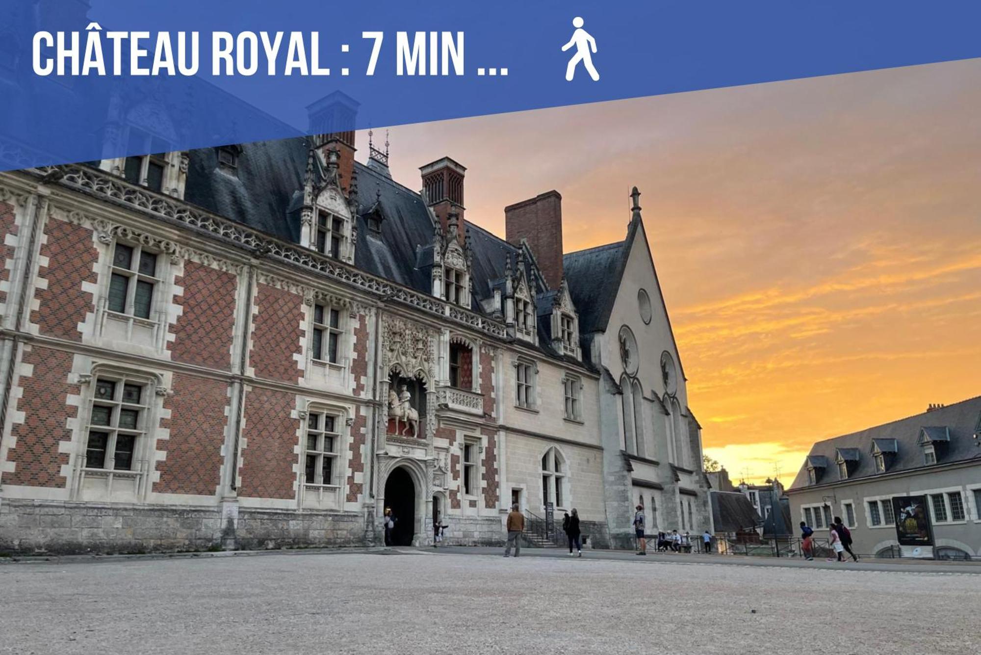 Charme & Calme A 200M Du Chateau Blois Dış mekan fotoğraf